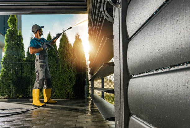 Best Soft Washing  in Fall City, WA
